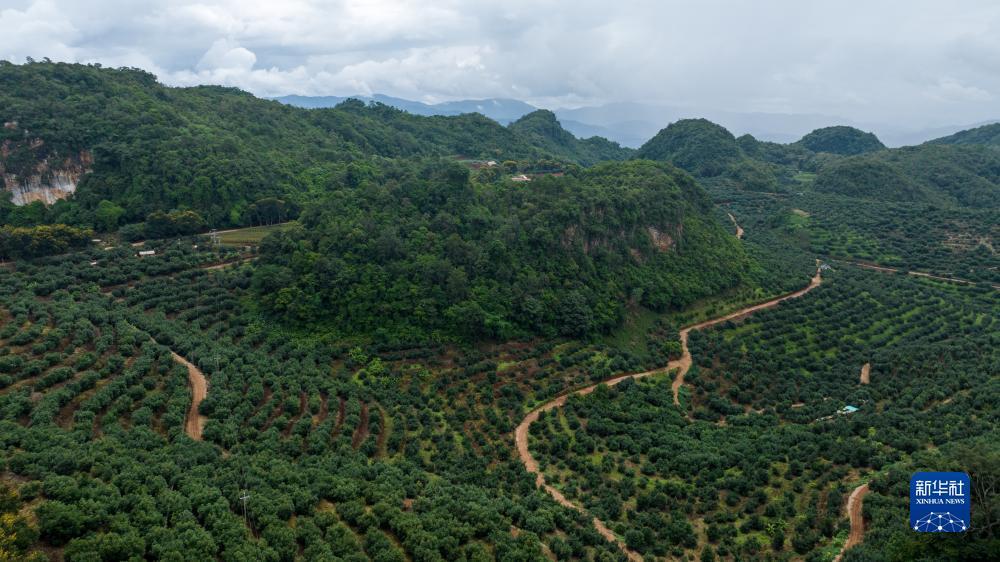 巴适游戏官网